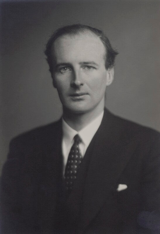 Patrick theobald tower butler, 18th baron dunboyne npg x167301