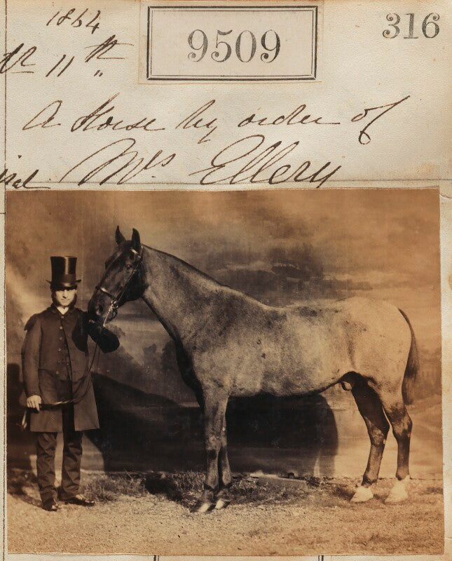 A horse by order of mrs ellery npg ax59317
