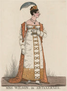 Mary Anne Wilson ('Miss Wilson, in Artaxerxes') NPG D47091