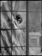 Dame (Esmerelda) Cicely Courtneidge NPG x81078