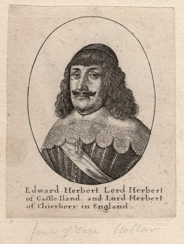 Edward herbert, 1st baron herbert of cherbury npg d9796