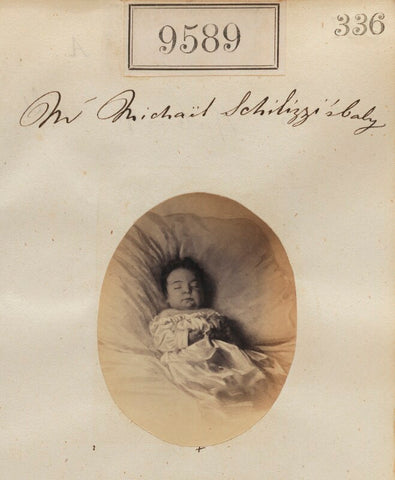 'Mr Michael Schilizzi's baby' NPG Ax59345