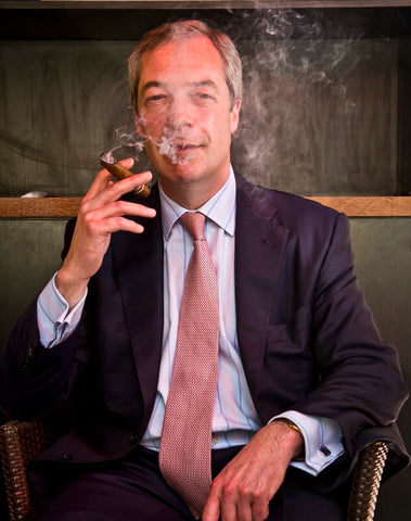 Nigel Farage NPG x139682