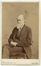 Charles Darwin NPG x5935
