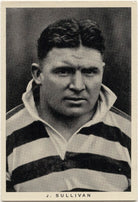 Jim Sullivan NPG D49217