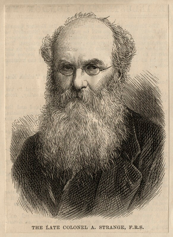 Alexander strange npg d6874