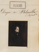 Duque de Palmella NPG Ax56733