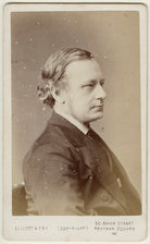 Sir John Robert Seeley NPG Ax18219