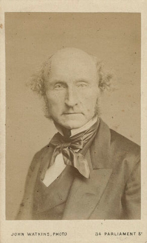 John Stuart Mill NPG Ax18212