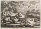 Sitting dog and partridge NPG D11800
