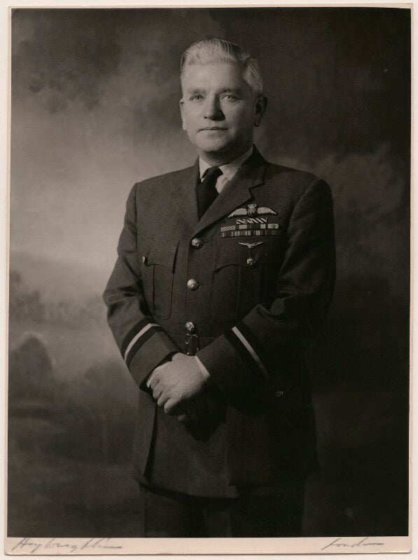 John stanley raven npg x181163