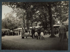 'Leopardstown Races' NPG Ax144048