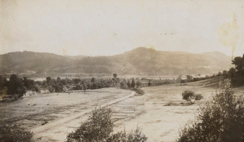 'View of the plain of Olympia' NPG Ax183199