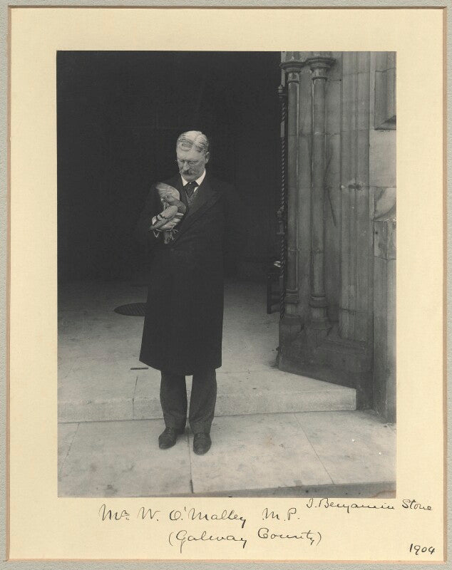 William o'malley npg x33739