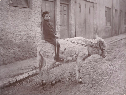 'Rough Rider' (Unknown boy) NPG x198812