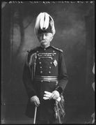 Sir (Henry) Evelyn Wood NPG x80159