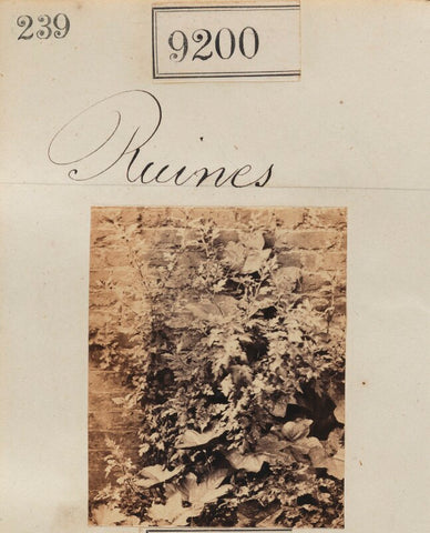 'Ruines' NPG Ax59022