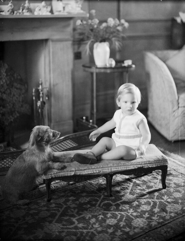 Nicholas crespigney laurance vivian, 6th baron vivian npg x153218