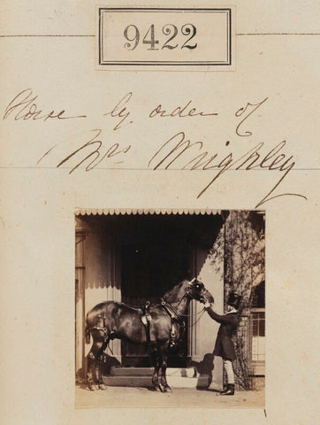 'Horse by order of Mrs Wrighley' NPG Ax59228