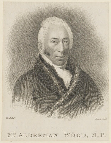 Sir Matthew Wood, 1st Bt NPG D16087