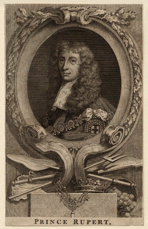 Prince rupert, count palatine npg d26480