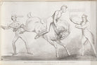 Military Rough-Riders Breaking an Unruly Animal NPG D41181
