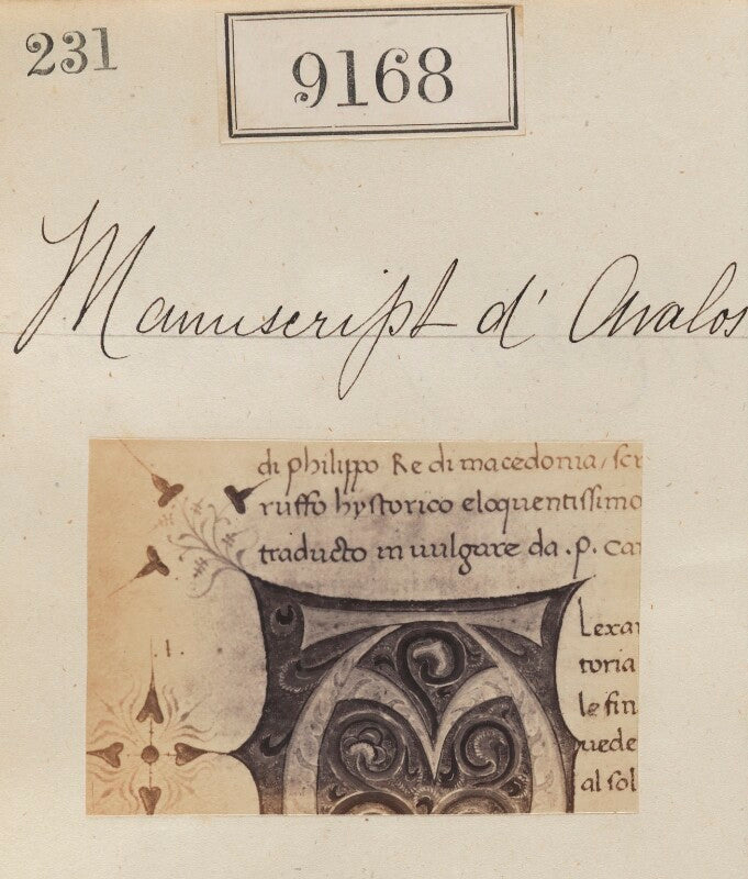 'detail from manuscript d'avalos' npg ax58990