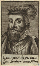 Sir Henry Sidney NPG D31768