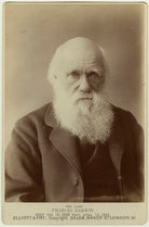 Charles Darwin NPG x5937