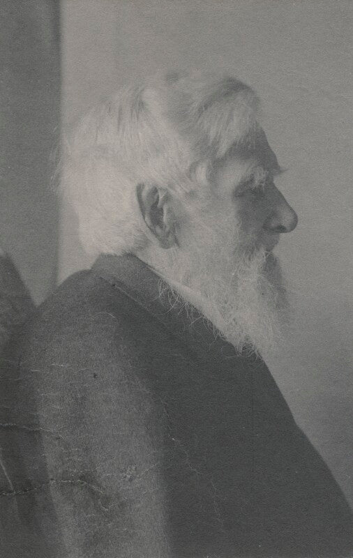 Alfred russel wallace npg x5115
