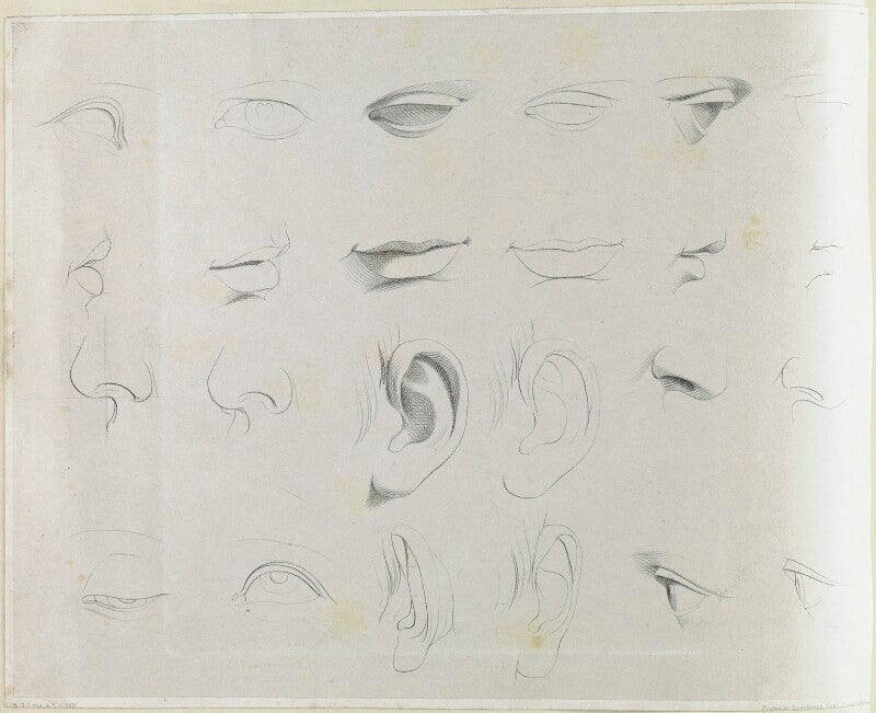 Studies for faces npg d21876