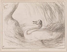 A Dying Swan (Sir Robert Peel, 2nd Bt; John Cam Hobhouse, Baron Broughton de Gyfford) NPG D41407