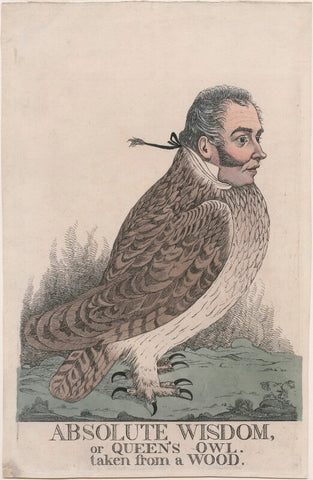 'Absolute wisdom, or Queen's owl. Taken from a wood' (Sir Matthew Wood, 1st Bt) NPG D4902