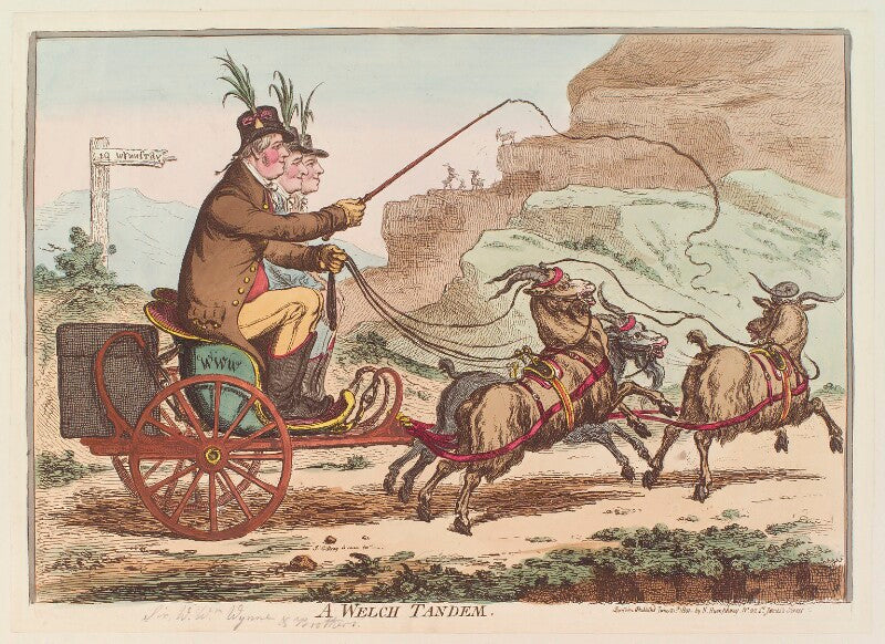 'a welch tandem' (sir watkin williams wynn, 5th bt; charles watkin williams wynn; sir henry watkin williams wynn) npg d12766