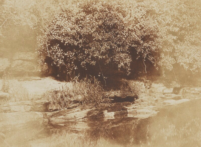 Burnside, nr st andrews, fifeshire npg p6(182)