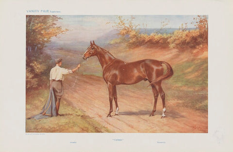 Unknown sitter ('Famous Racehorses. No. 3. "Cyllene."') NPG D45507