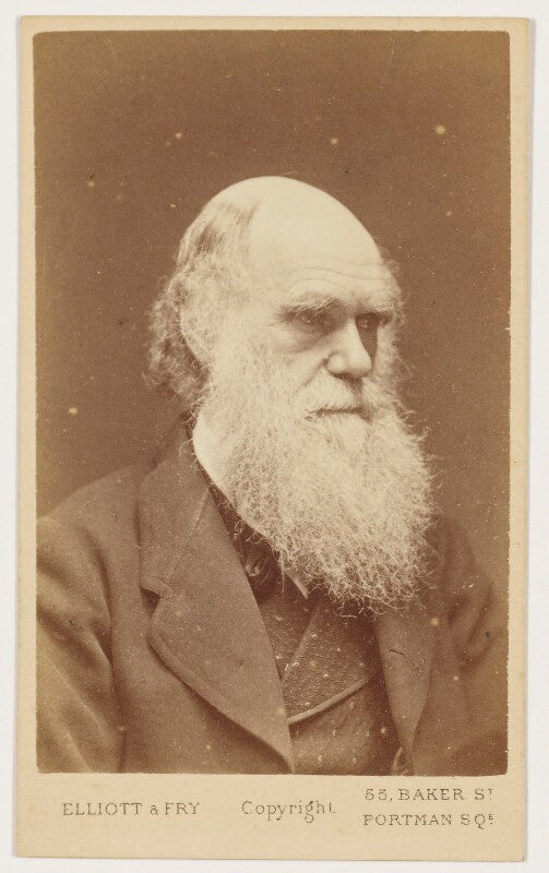 Charles darwin npg x5933