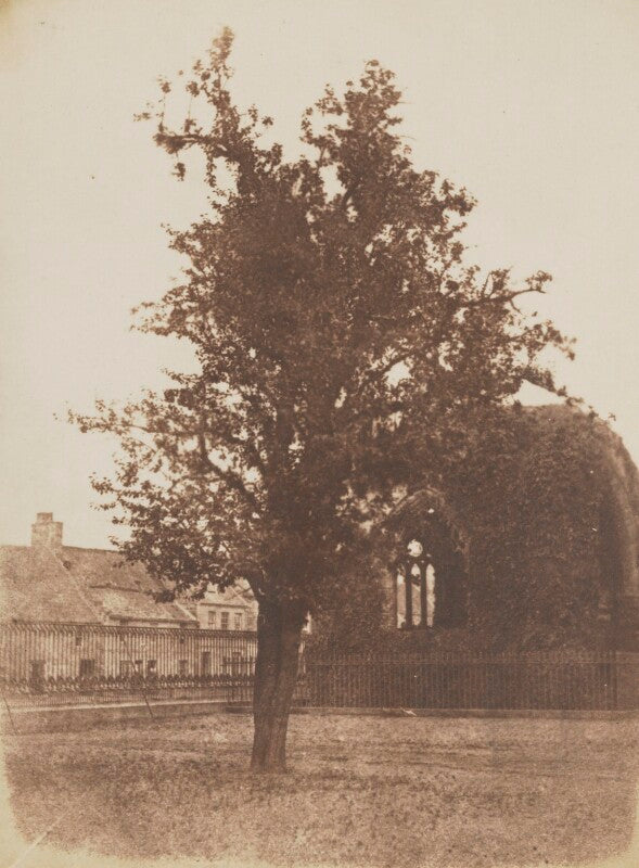 St mary's chapel, st andrews npg p6(245)