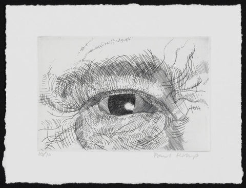 Engraving of an eye NPG D49614