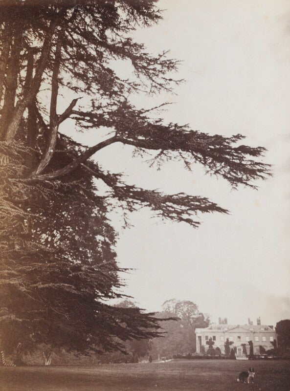 'broadlands' (seat of baron mount temple) npg ax160605