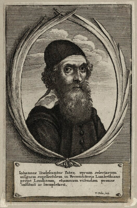 John tradescant the elder npg d28373