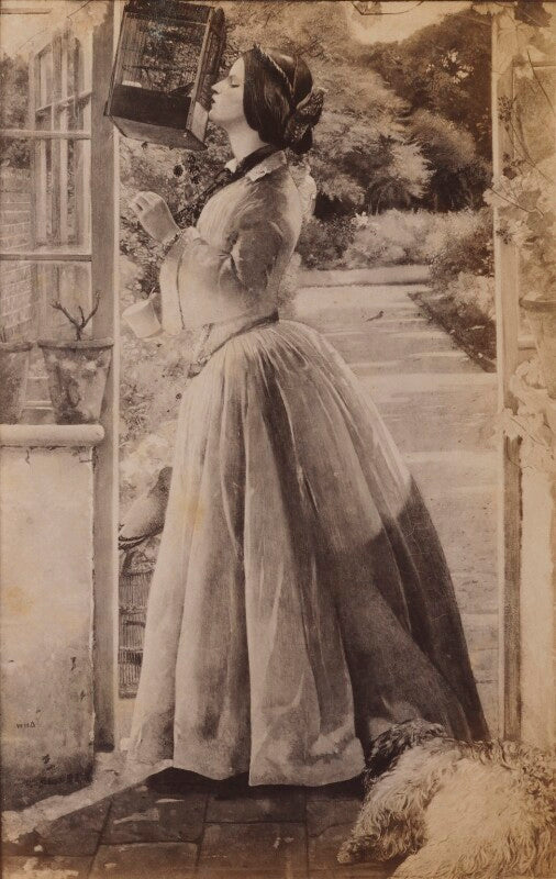 'a pet' npg p1273(13a)