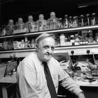 Sir David Weatherall NPG x88772