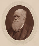 Charles Darwin NPG Ax17583