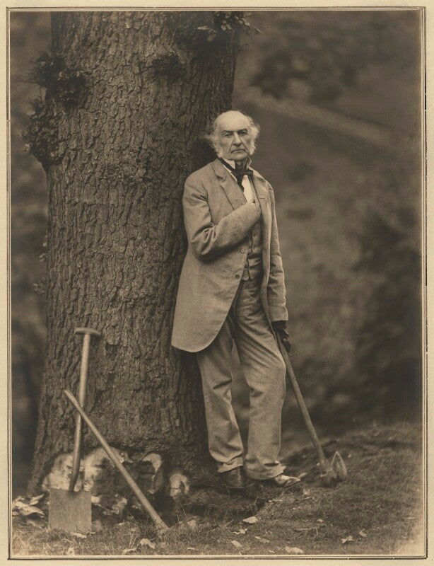 William ewart gladstone npg x127433