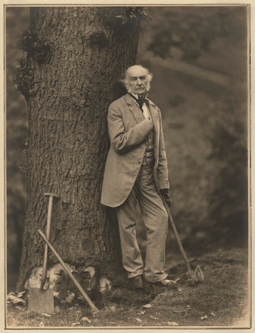 William Ewart Gladstone NPG x127433