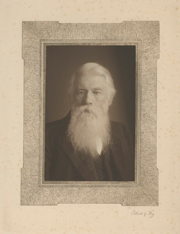 Sir joseph wilson swan npg x13215