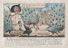 'The Cunning Jackdaw and the Peacocks' (includes John Bull; Charles Grey, 2nd Earl Grey; George Canning; John Scott, 1st Earl of Eldon, Arthur Wellesley, 1st Duke of Wellington and four other unknown sitters) NPG D48699