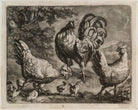 Cock with hens and chicks NPG D11846