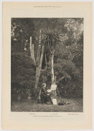 Marianne North NPG D42434